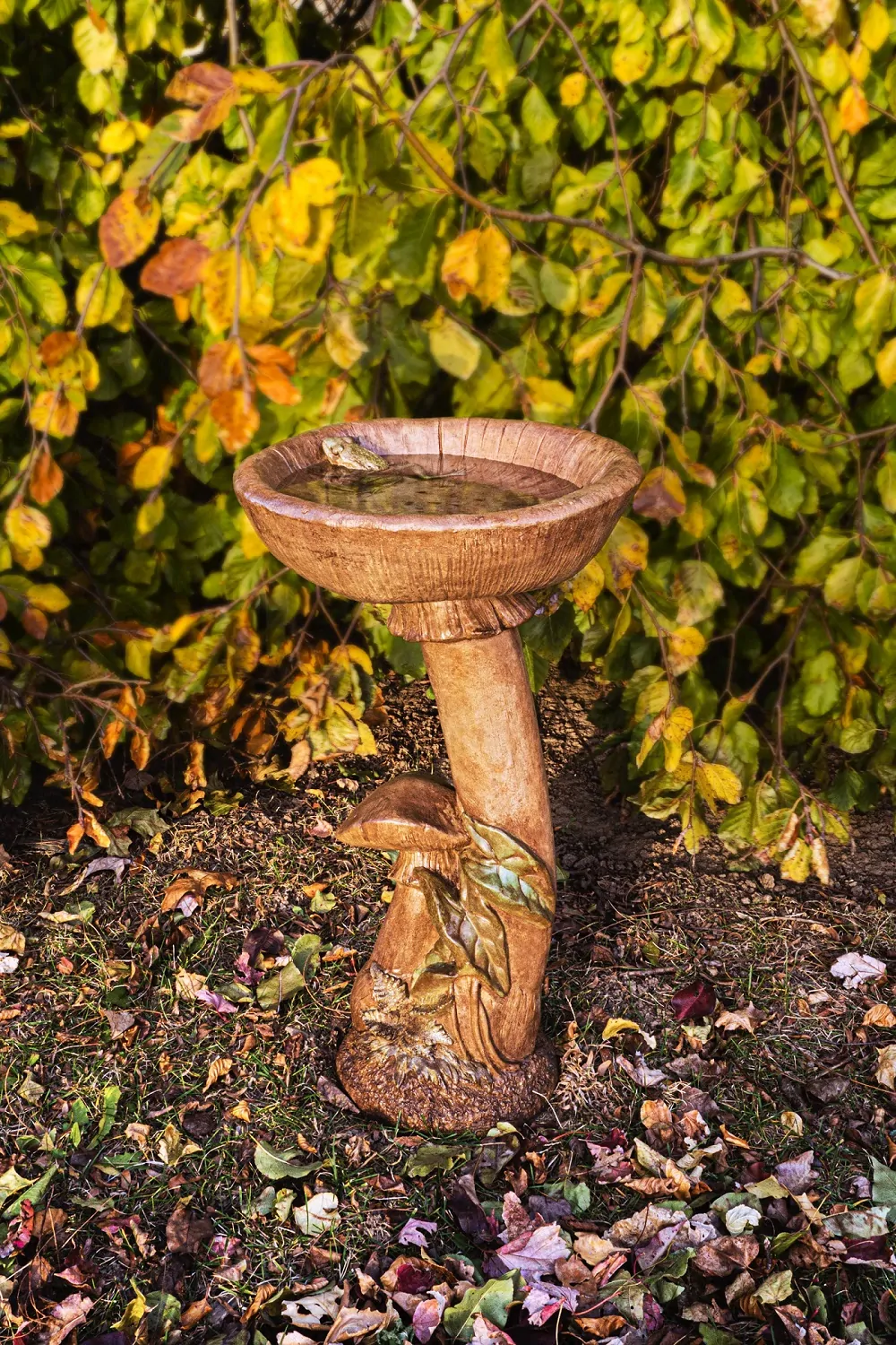 Mushroom Birdbath